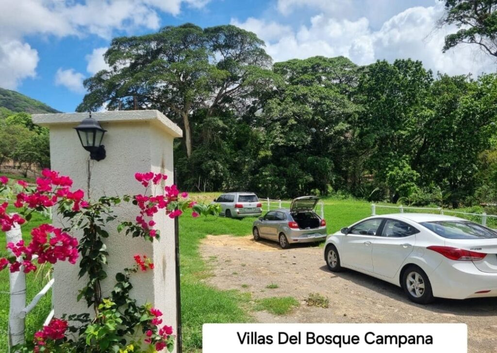 campana- (32)