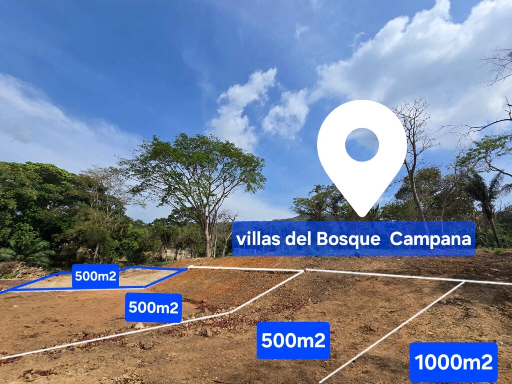 campana- (36)