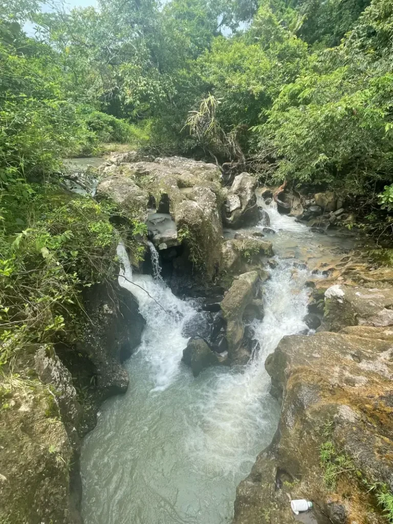 IMG-20250507-WA0367