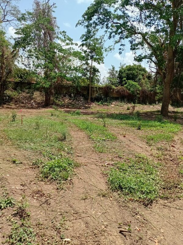 villa-escondida-chame (14)