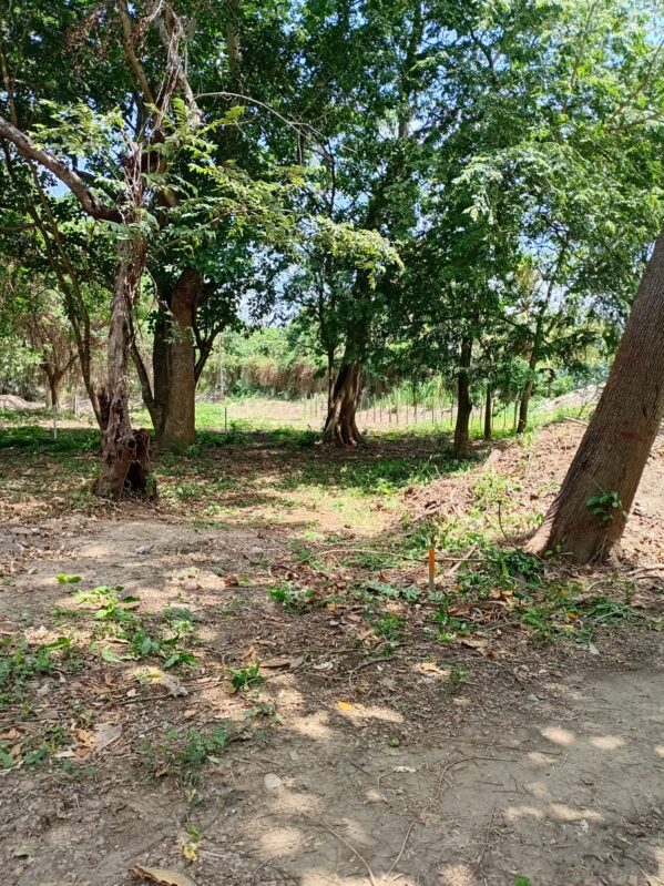 villa-escondida-chame (15)
