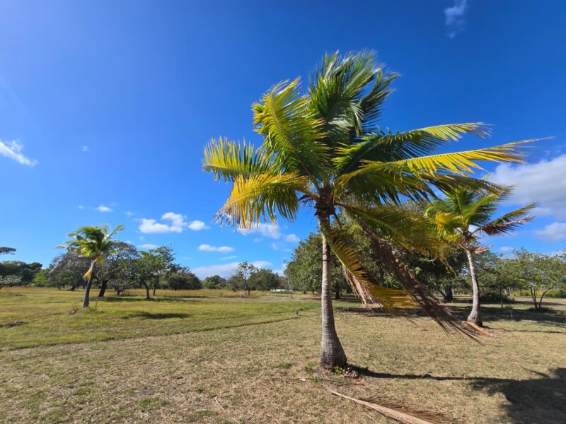 villas-coronado (11)